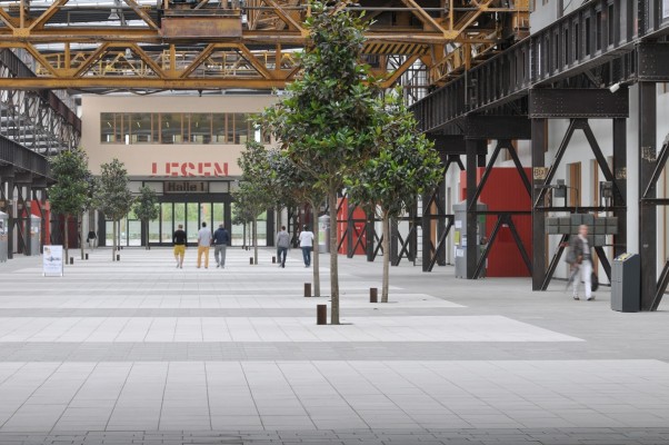 Innenraumbegrünung - Hochschule Osnabrück, Standort Lingen