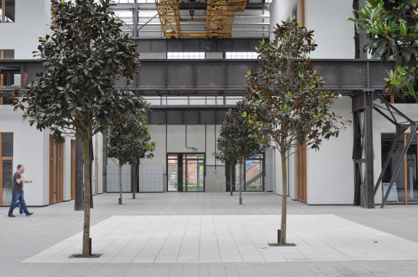 Innenraumbegrünung - Hochschule Osnabrück, Standort Lingen