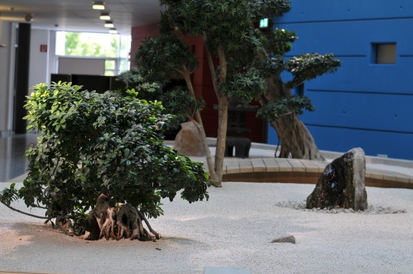 Innenraumbegrünung - Fiducia IT AG, Karlsruhe