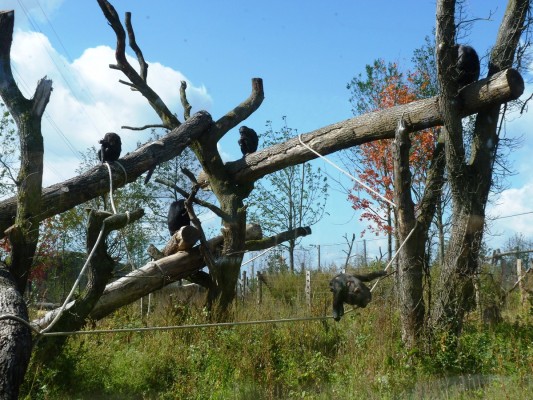 Savannenlandschaft TAKAMANDA im Zoo Osnabrück