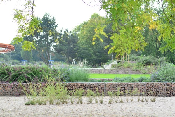 Außenanlagen des Freibades am Willersinnweiher in Ludwigshafen