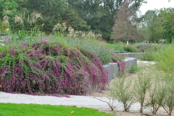 Außenanlagen des Freibades am Willersinnweiher in Ludwigshafen