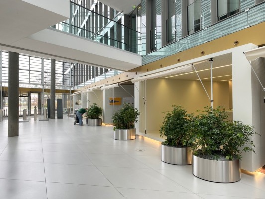 Innenraumbegrünung im Foyer einer Versicherung in Hannover