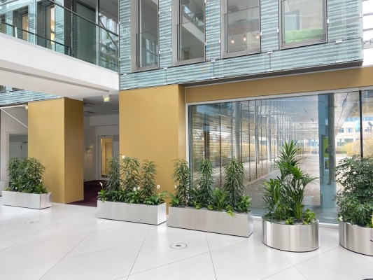 Innenraumbegrünung im Foyer einer Versicherung in Hannover