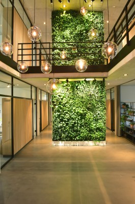 Vertikalbegrünung in einem Foyer