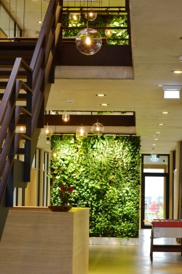 Vertikalbegrünung in einem Foyer