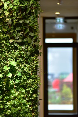 Vertikalbegrünung in einem Foyer