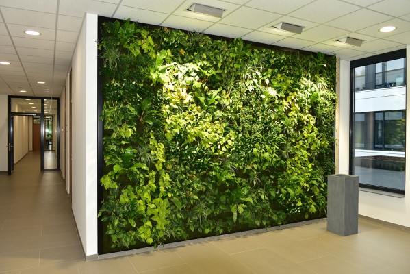 Vertikalbegrünung bei Thomas Philipps in Bissendorf