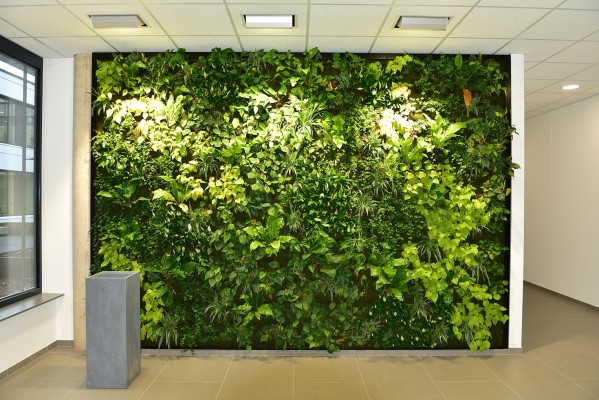 Vertikalbegrünung bei Thomas Philipps in Bissendorf