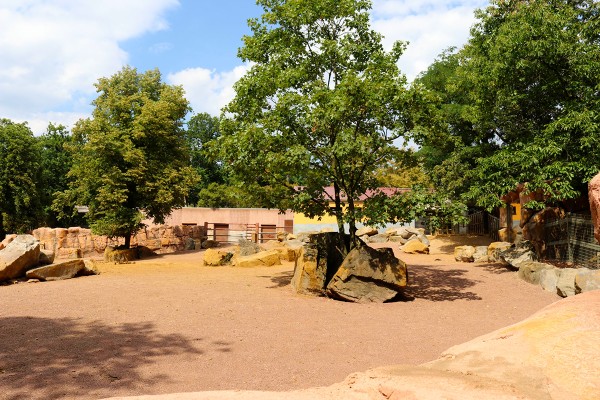 Nashorngehege im Zoo Osnabrück