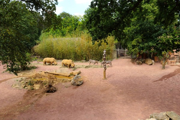 Nashorngehege im Zoo Osnabrück