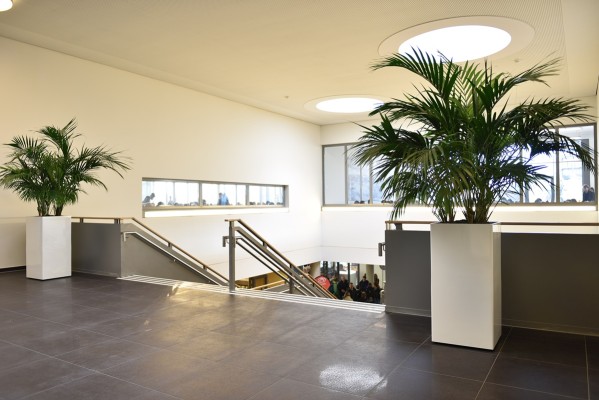 Innenraumbegrünung – Hochschule Osnabrück