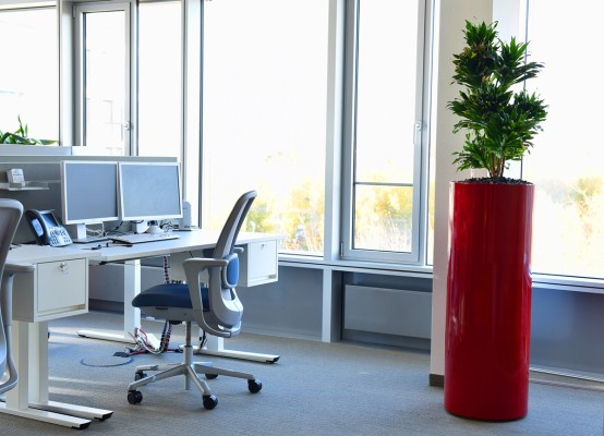 Innenraumbegrünung – VDI Düsseldorf