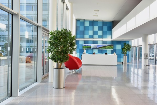 Innenraumbegrünung – VDI Düsseldorf