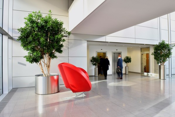 Innenraumbegrünung – VDI Düsseldorf