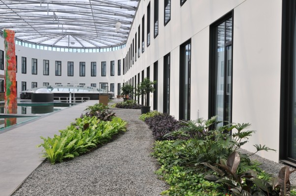 Hotel MOA Bogen - Berlin: Bepflanzung im Hotelatrium