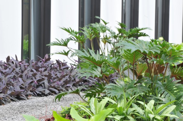 Hotel MOA Bogen - Berlin: Bepflanzung im Hotelatrium