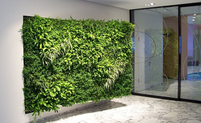 Vertikalbegrünung - ETHIANUM Klinik, Heidelberg